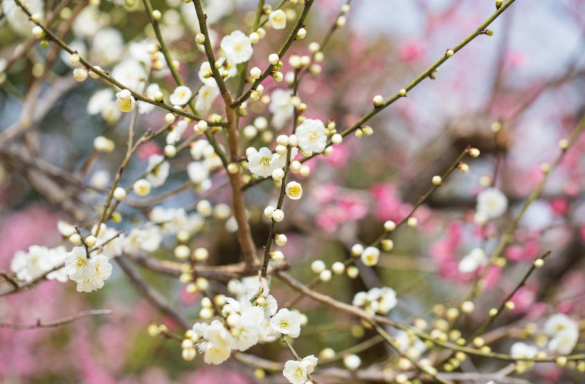 査定の際、おすすめの観るべき点