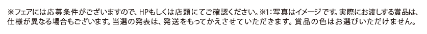 🌸春の住み替えフェア🌸
